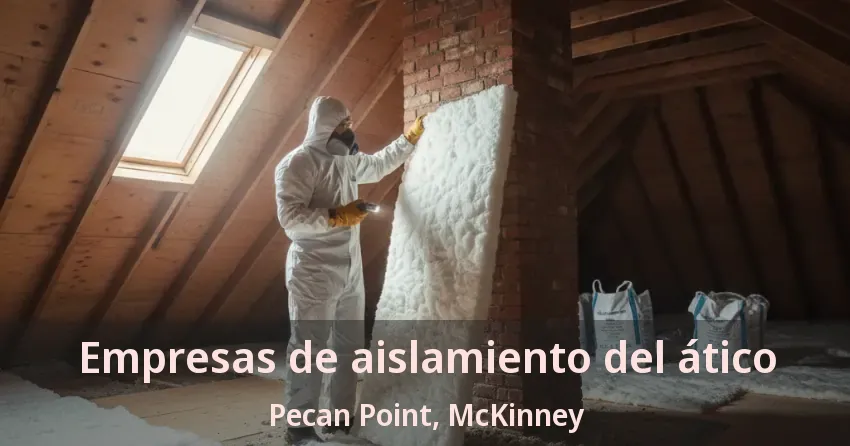 Empresas de aislamiento del ático Pecan Point, McKinney - TX