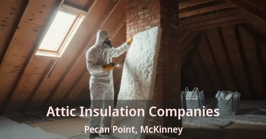 Attic Insulation Companies Pecan Point, McKinney - TX