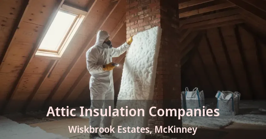 Attic Insulation Companies Wiskbrook Estates, McKinney - TX