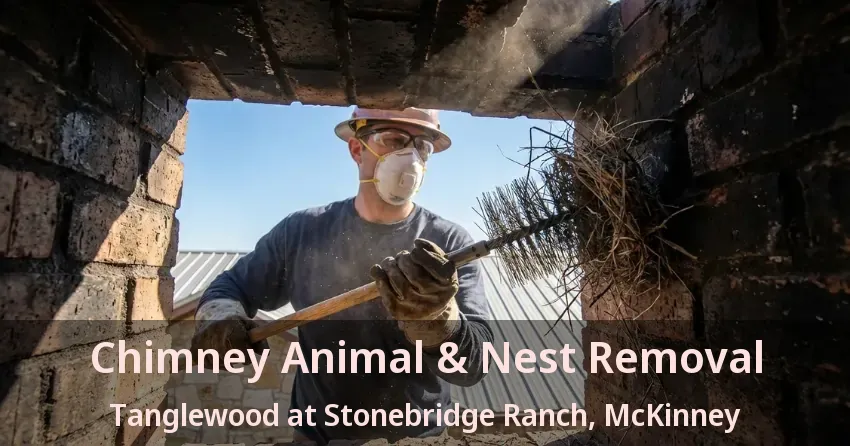 Chimney Animal & Nest Removal Tanglewood at Stonebridge Ranch, McKinney - TX