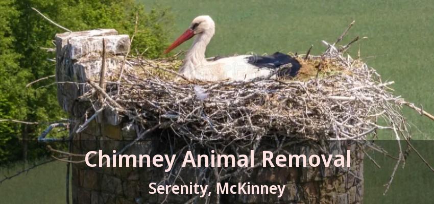 Chimney Animal Removal Serenity, McKinney - TX