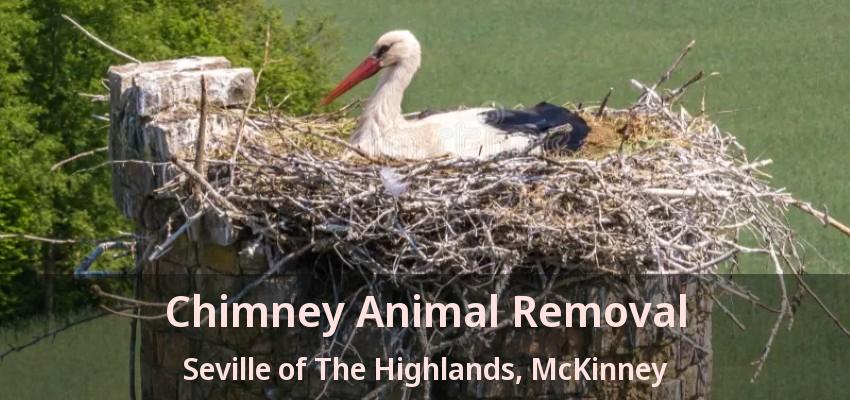 Chimney Animal Removal Seville of The Highlands, McKinney - TX