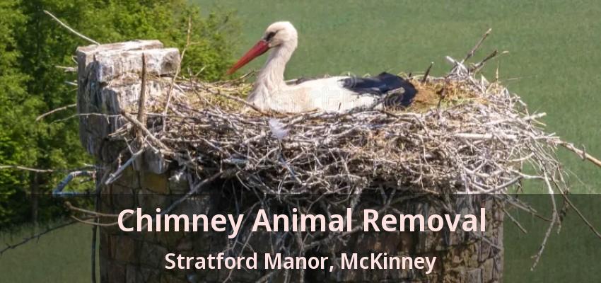 Chimney Animal Removal Stratford Manor, McKinney - TX