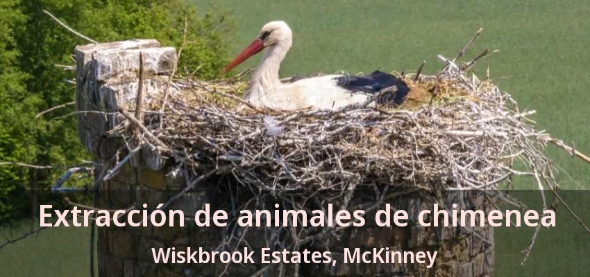 Extracción de animales de chimenea Wiskbrook Estates, McKinney - TX