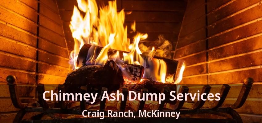 Chimney Ash Dump Services Craig Ranch, McKinney - TX