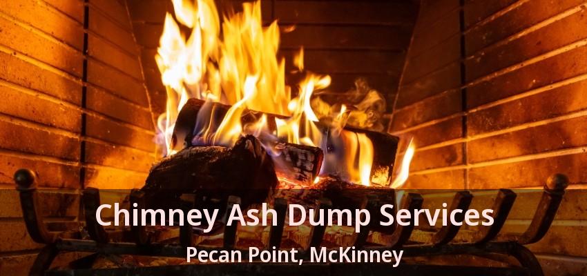 Chimney Ash Dump Services Pecan Point, McKinney - TX