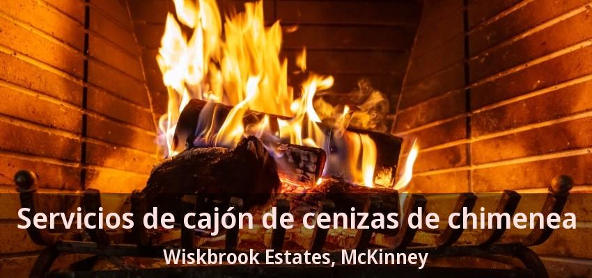 Servicios de cajón de cenizas de chimenea Wiskbrook Estates, McKinney - TX Servicios de cajón de cenizas de chimenea Wiskbrook Estates, McKinney - TX