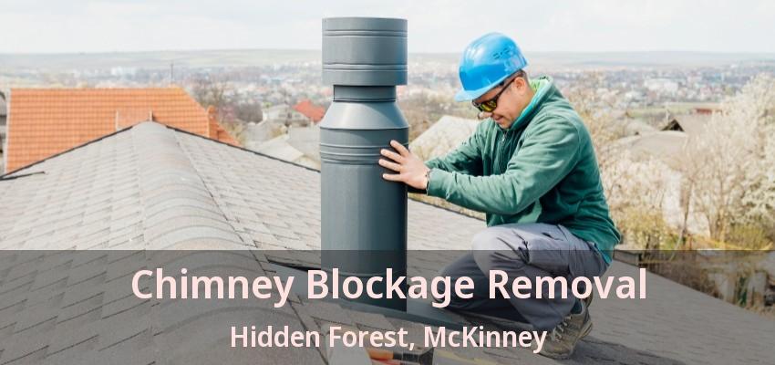 Chimney Blockage Removal Hidden Forest, McKinney - TX