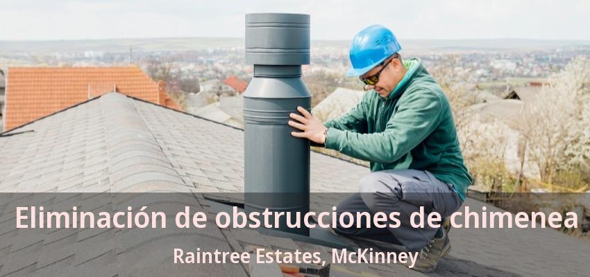 Eliminación de obstrucciones de chimenea Raintree Estates, McKinney - TX