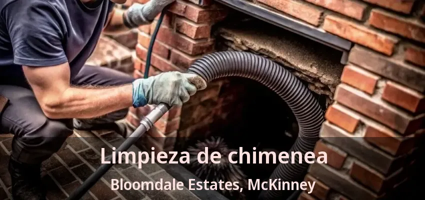 Limpieza de chimenea Bloomdale Estates, McKinney - TX