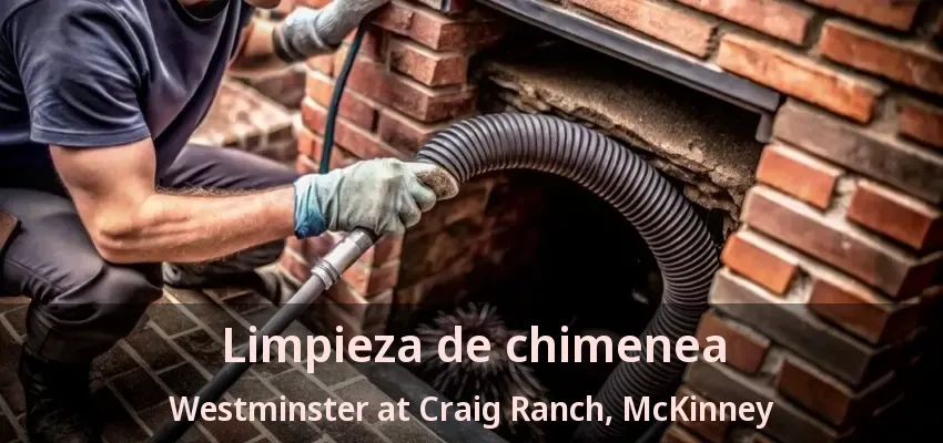 Limpieza de chimenea Westminster at Craig Ranch, McKinney - TX