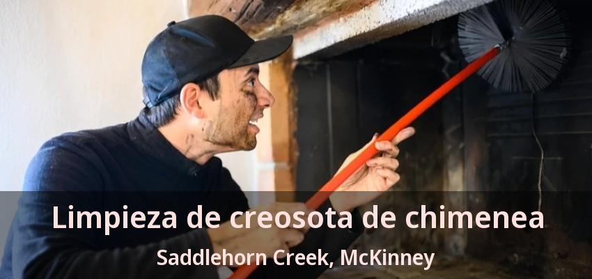 Limpieza de creosota de chimenea Saddlehorn Creek, McKinney - TX