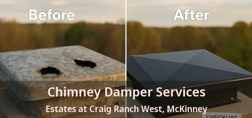 Chimney Damper Services Estates at Craig Ranch West, McKinney - TX
