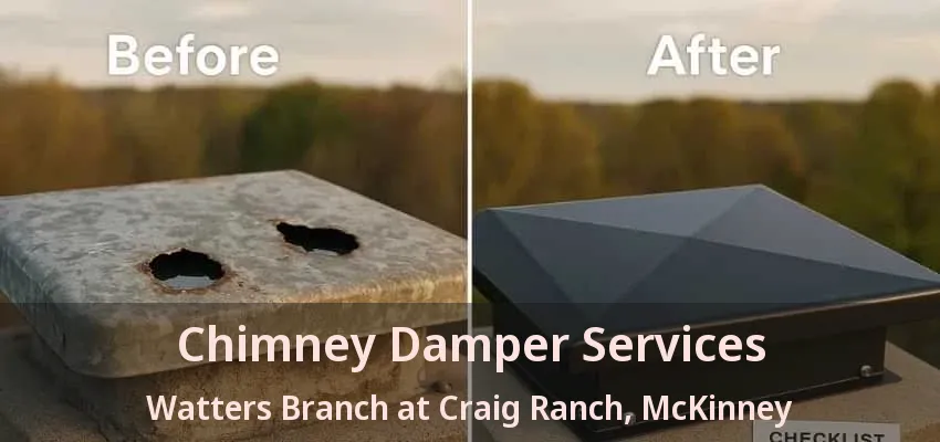 Chimney Damper Services Watters Branch at Craig Ranch, McKinney - TX
