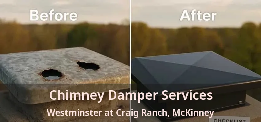 Chimney Damper Services Westminster at Craig Ranch, McKinney - TX
