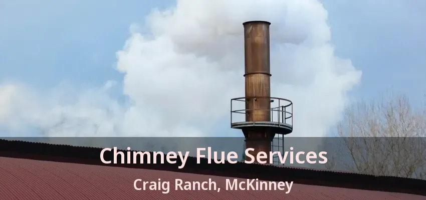 Chimney Flue Services Craig Ranch, McKinney - TX