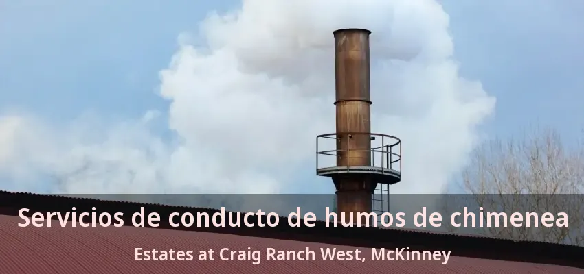 Servicios de conducto de humos de chimenea Estates at Craig Ranch West, McKinney - TX