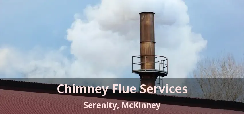 Chimney Flue Services Serenity, McKinney - TX