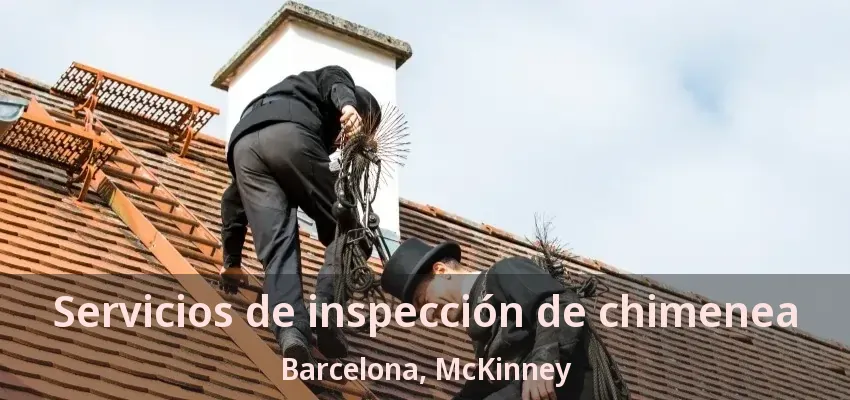 Servicios de inspección de chimenea Barcelona, McKinney - TX
