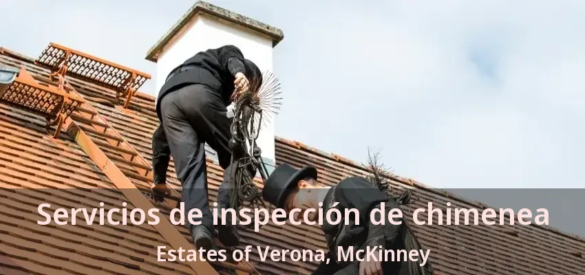 Servicios de inspección de chimenea Estates of Verona, McKinney - TX