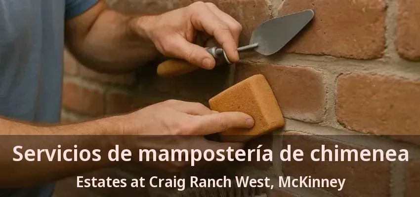 Servicios de mampostería de chimenea Estates at Craig Ranch West, McKinney - TX