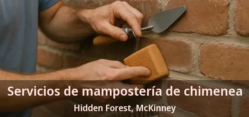 Servicios de mampostería de chimenea Hidden Forest, McKinney - TX