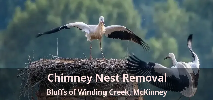 Chimney Nest Removal Bluffs of Winding Creek, McKinney - TX
