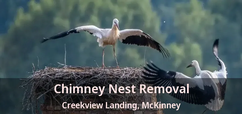 Chimney Nest Removal Creekview Landing, McKinney - TX