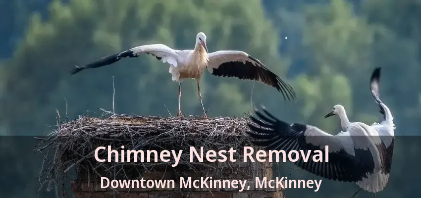 Chimney Nest Removal Downtown McKinney, McKinney - TX