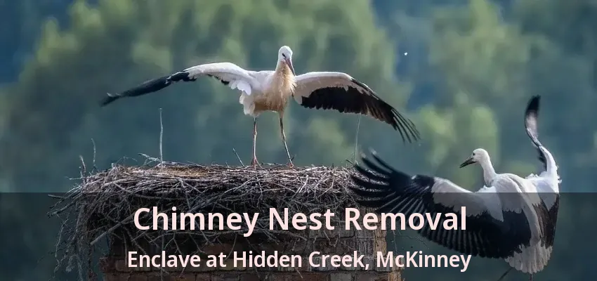 Chimney Nest Removal Enclave at Hidden Creek, McKinney - TX