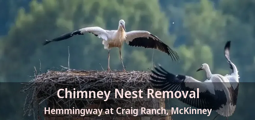 Chimney Nest Removal Hemmingway at Craig Ranch, McKinney - TX