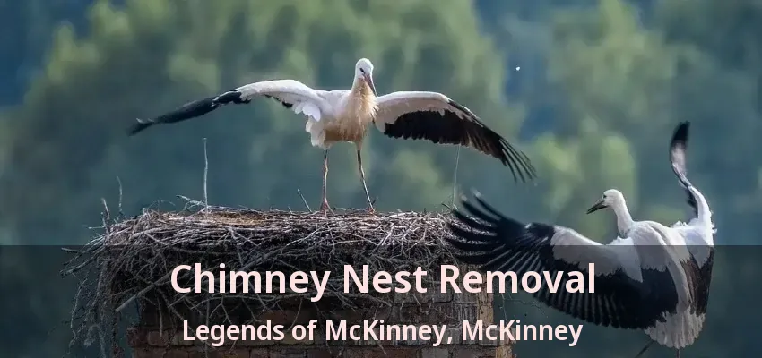 Chimney Nest Removal Legends of McKinney, McKinney - TX