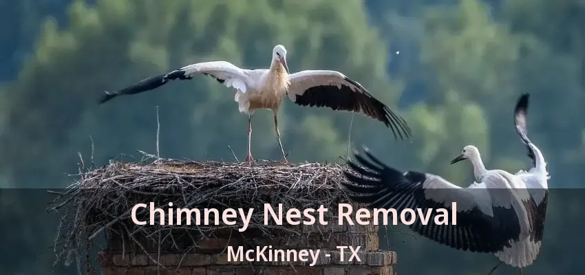 Chimney Nest Removal McKinney - TX