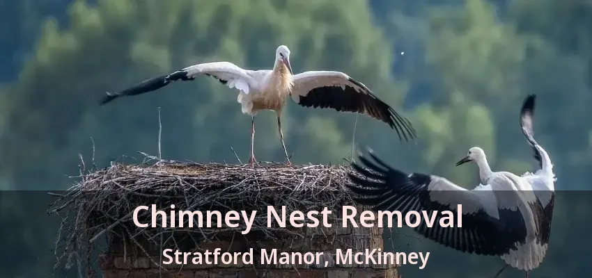 Chimney Nest Removal Stratford Manor, McKinney - TX