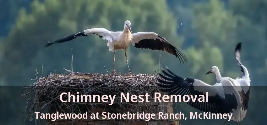 Chimney Nest Removal Tanglewood at Stonebridge Ranch, McKinney - TX