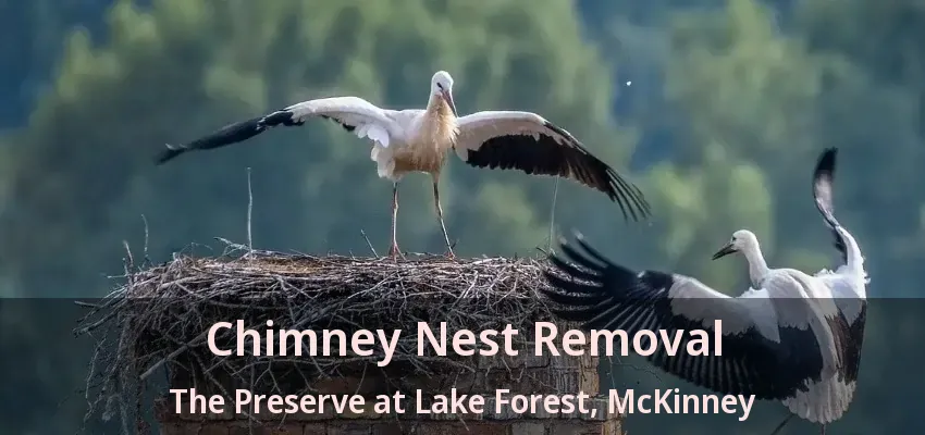 Chimney Nest Removal The Preserve at Lake Forest, McKinney - TX