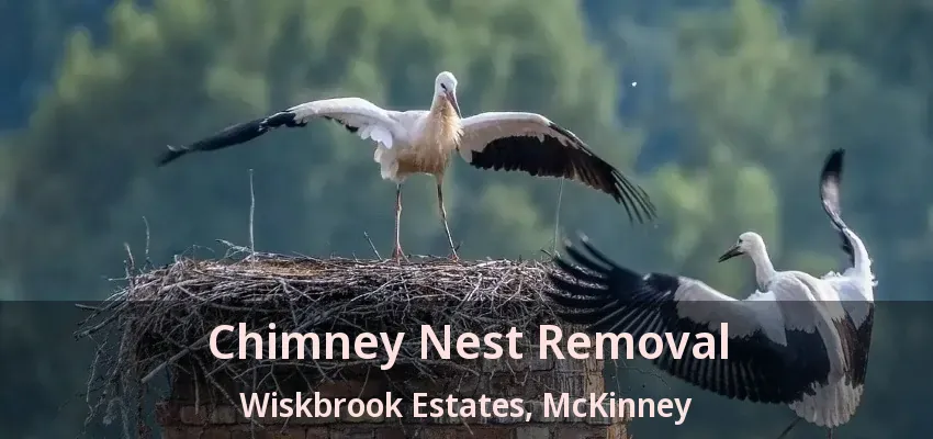 Chimney Nest Removal Wiskbrook Estates, McKinney - TX