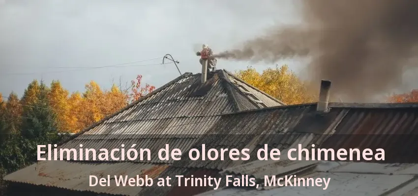 Eliminación de olores de chimenea Del Webb at Trinity Falls, McKinney - TX