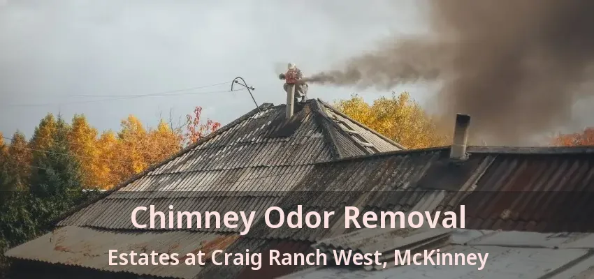 Chimney Odor Removal Estates at Craig Ranch West, McKinney - TX