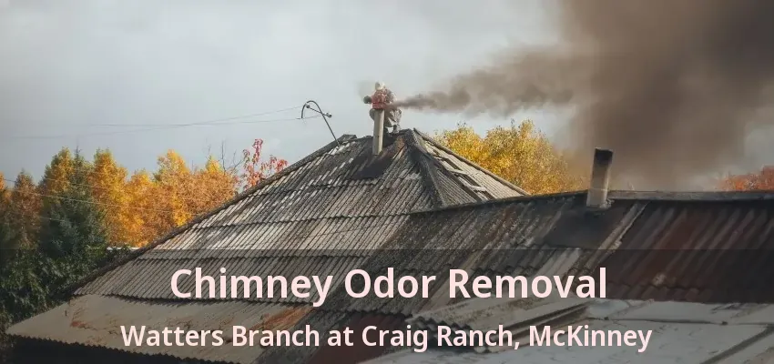 Chimney Odor Removal Watters Branch at Craig Ranch, McKinney - TX