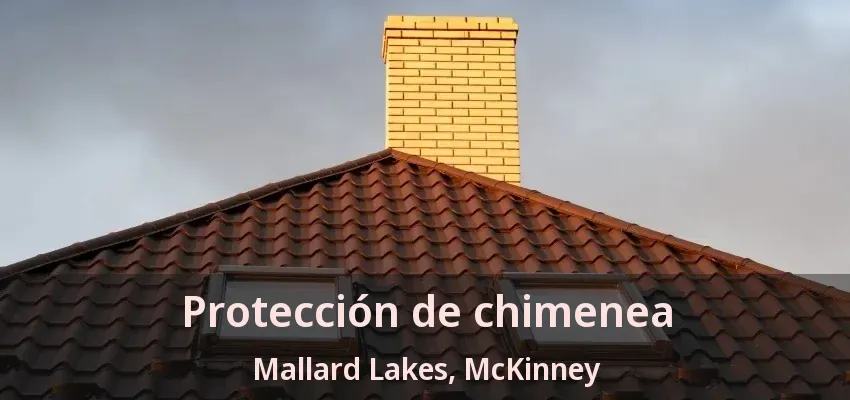 Protección de chimenea Mallard Lakes, McKinney - TX