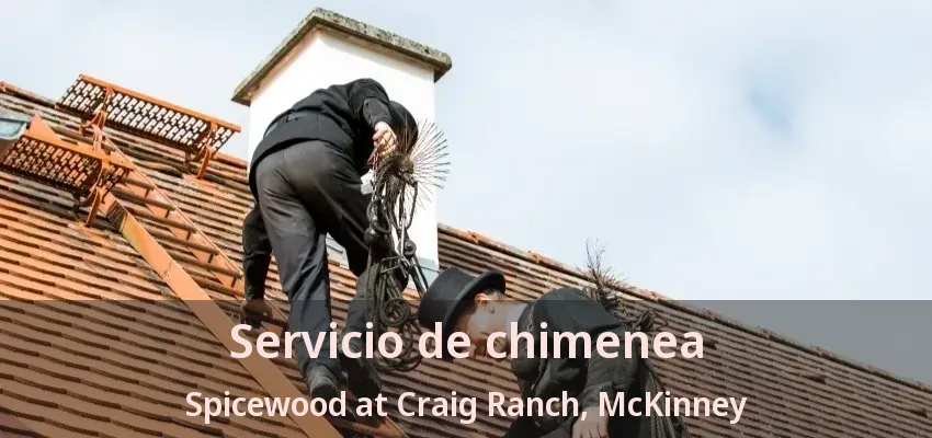 Servicio de chimenea Spicewood at Craig Ranch, McKinney - TX