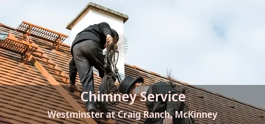 Chimney Service Westminster at Craig Ranch, McKinney - TX
