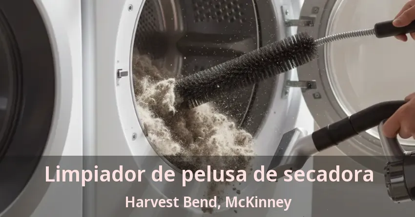 Limpiador de pelusa de secadora Harvest Bend, McKinney - TX