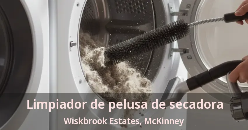 Limpiador de pelusa de secadora Wiskbrook Estates, McKinney - TX