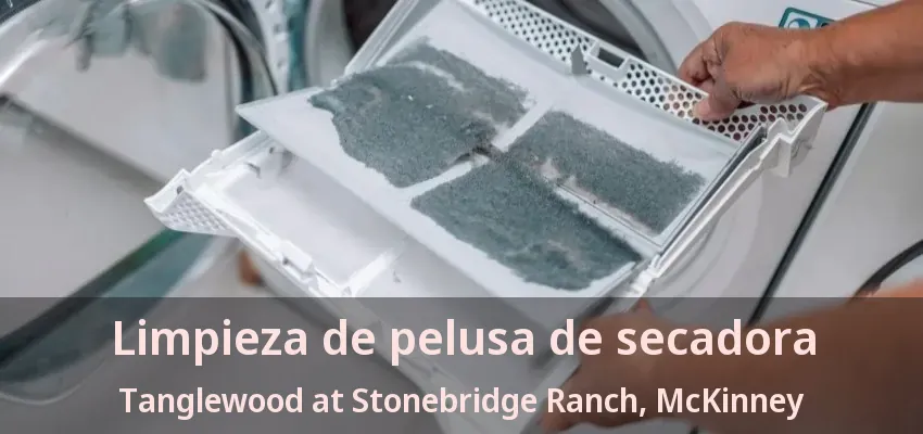 Limpieza de pelusa de secadora Tanglewood at Stonebridge Ranch, McKinney - TX