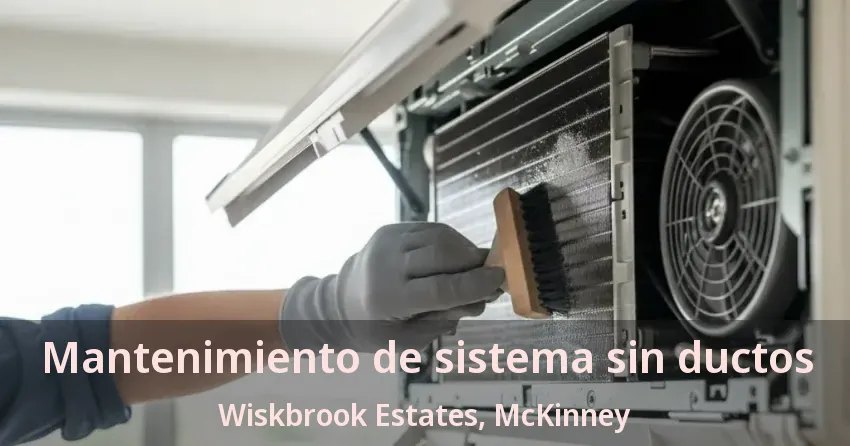 Mantenimiento de sistema sin ductos Wiskbrook Estates, McKinney - TX