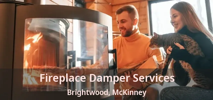 Fireplace Damper Services Brightwood, McKinney - TX