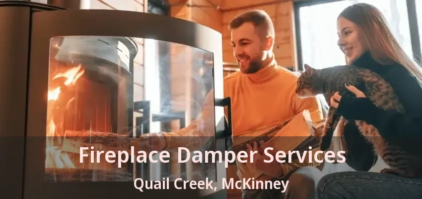 Fireplace Damper Services Quail Creek, McKinney - TX