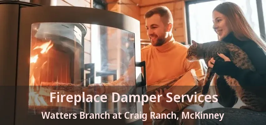 Fireplace Damper Services Watters Branch at Craig Ranch, McKinney - TX